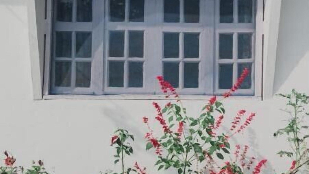 Photo of Outdoor in Shyamkhet