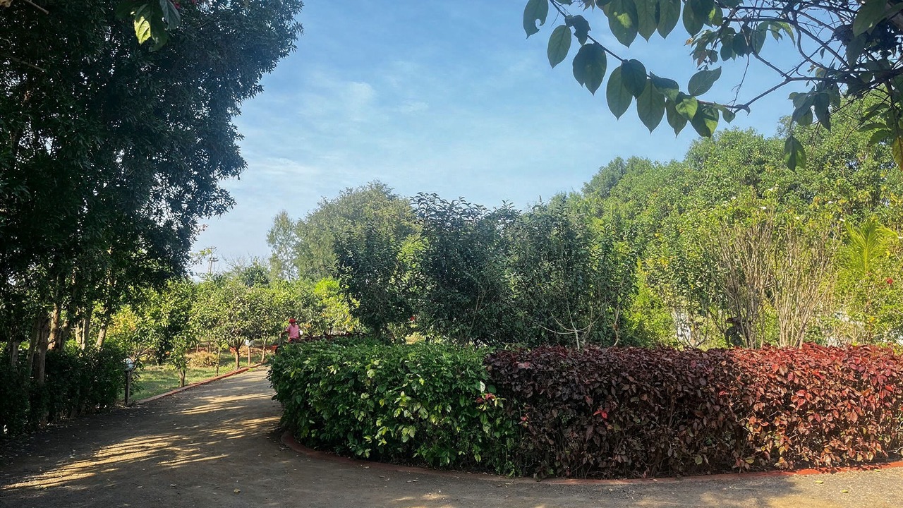 Photo of Outdoor in Chevella