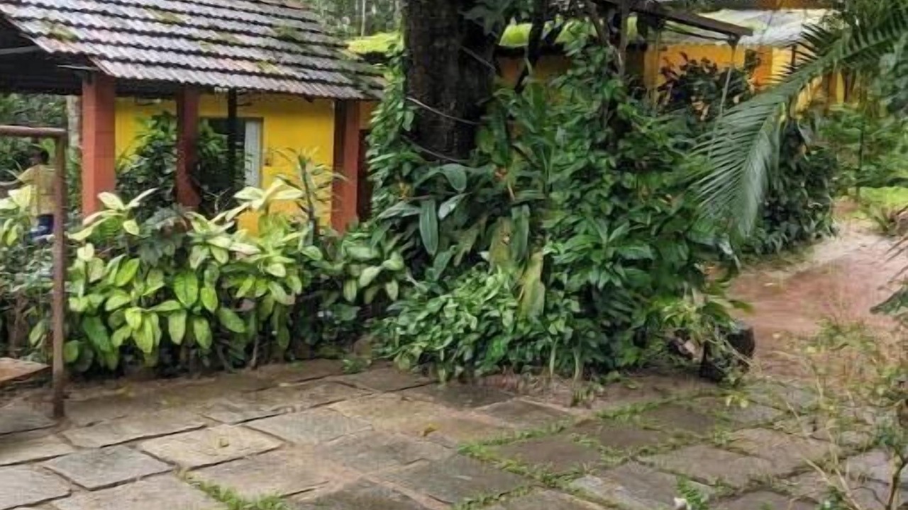 Photo of Outdoor in Chikkamagaluru