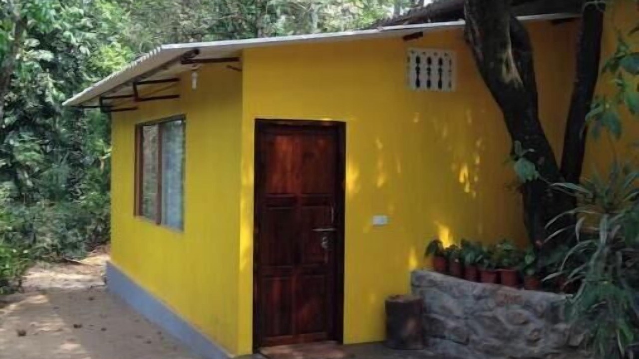 Photo of Outdoor in Chikkamagaluru