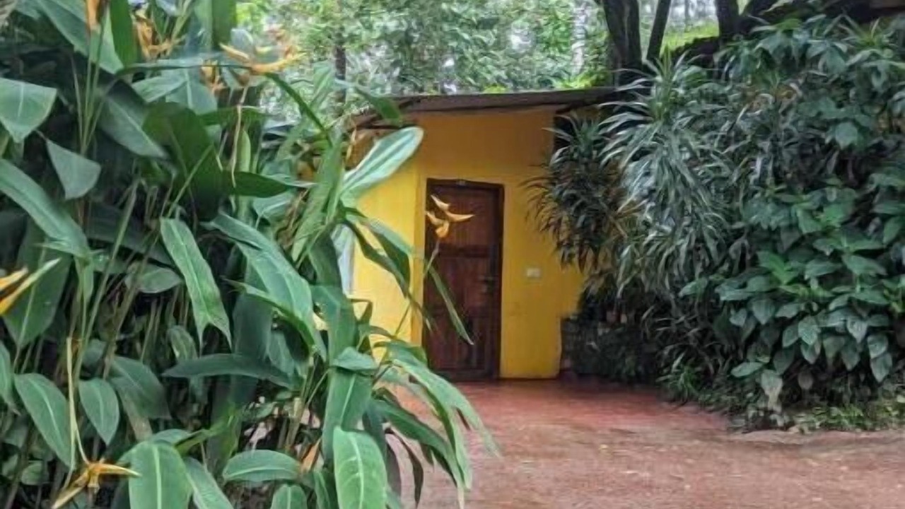 Photo of Outdoor in Chikkamagaluru