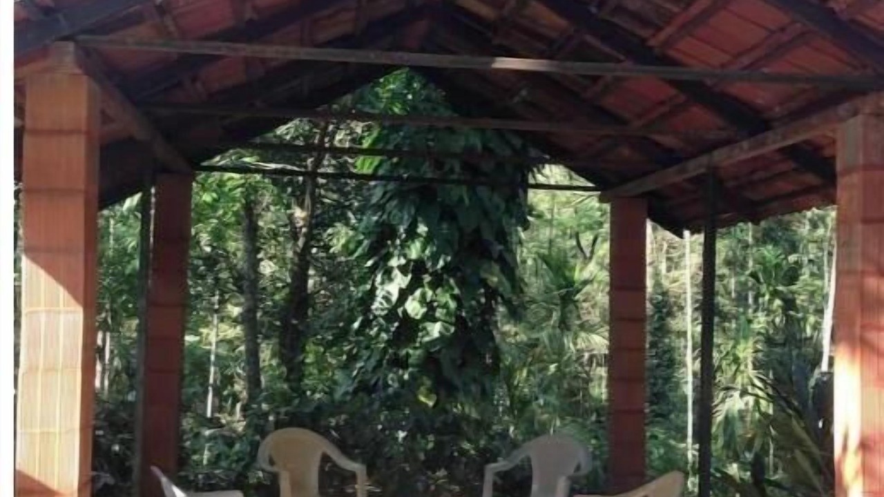 Photo of Outdoor in Chikkamagaluru