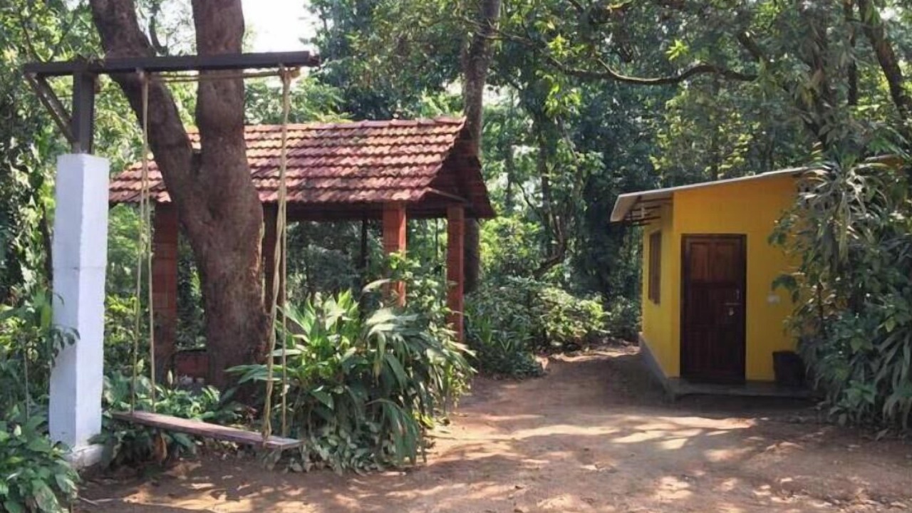 Photo of Outdoor in Chikkamagaluru