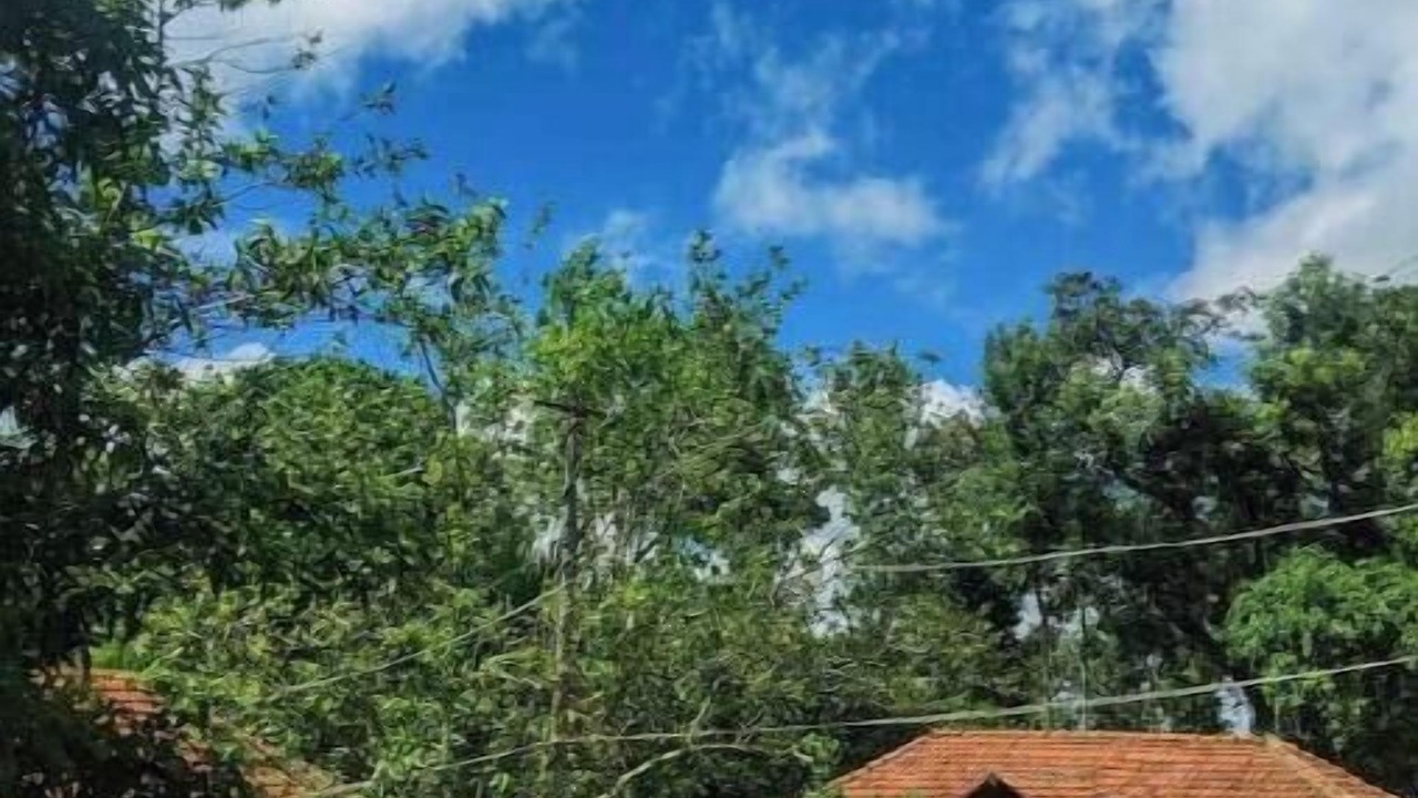 Photo of Outdoor in Chikkamagaluru
