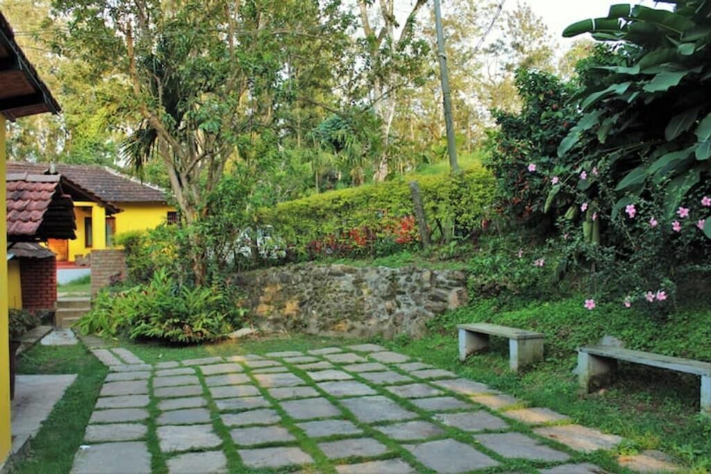Photo of Outdoor in Chikkamagaluru