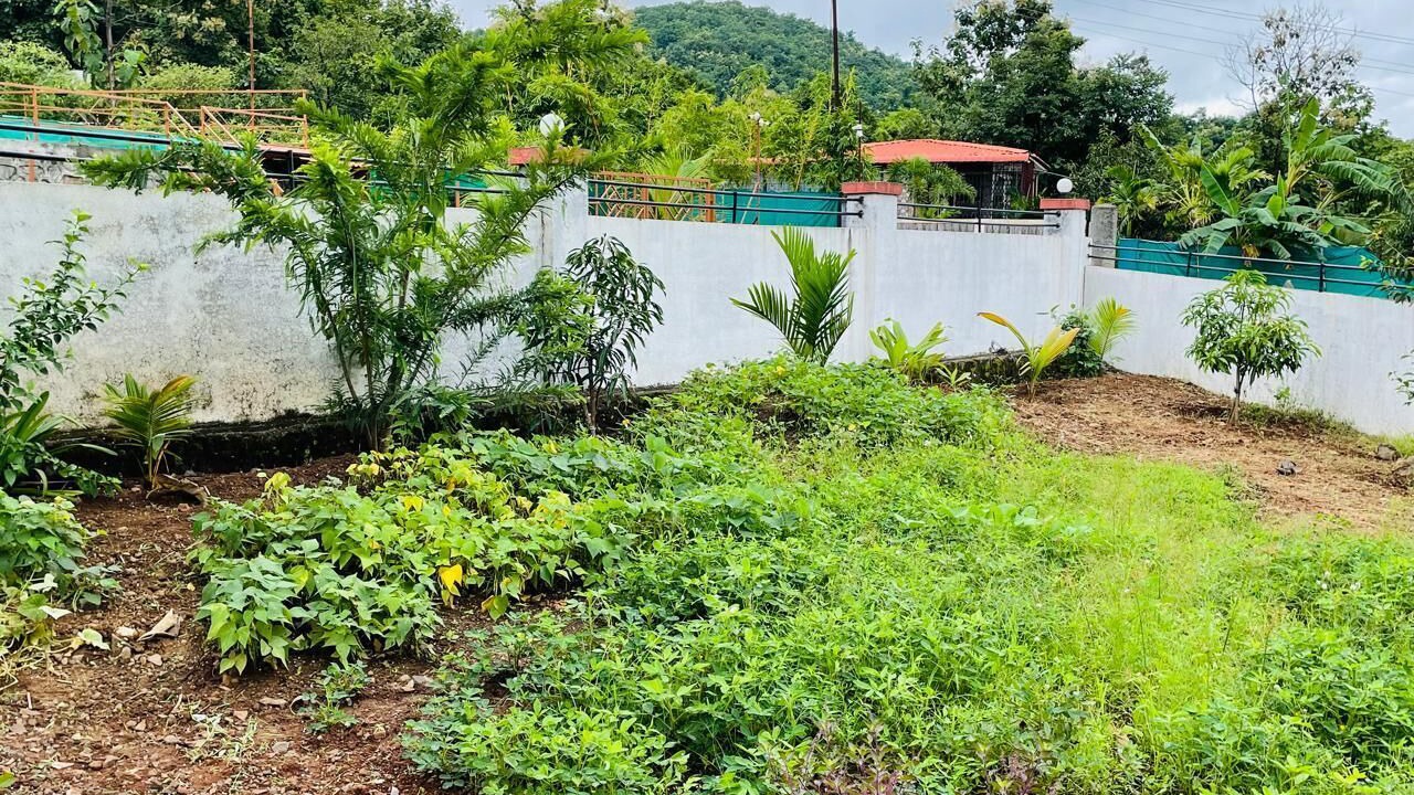 Photo of Outdoor in Paud