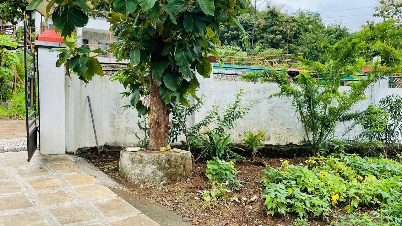 Photo of Outdoor in Paud