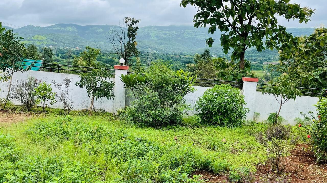 Photo of Outdoor in Paud