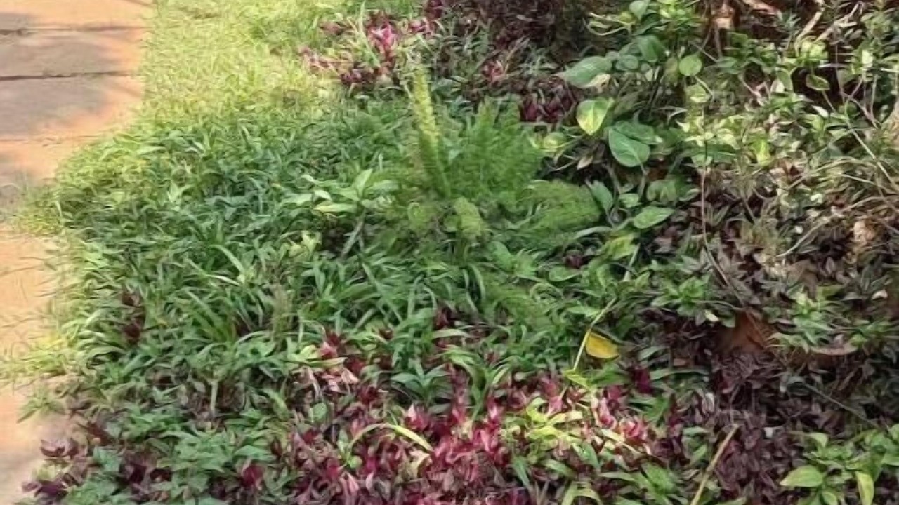 Photo of Outdoor in Bengaluru