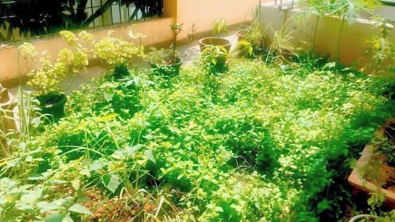 Photo of Outdoor in Bengaluru