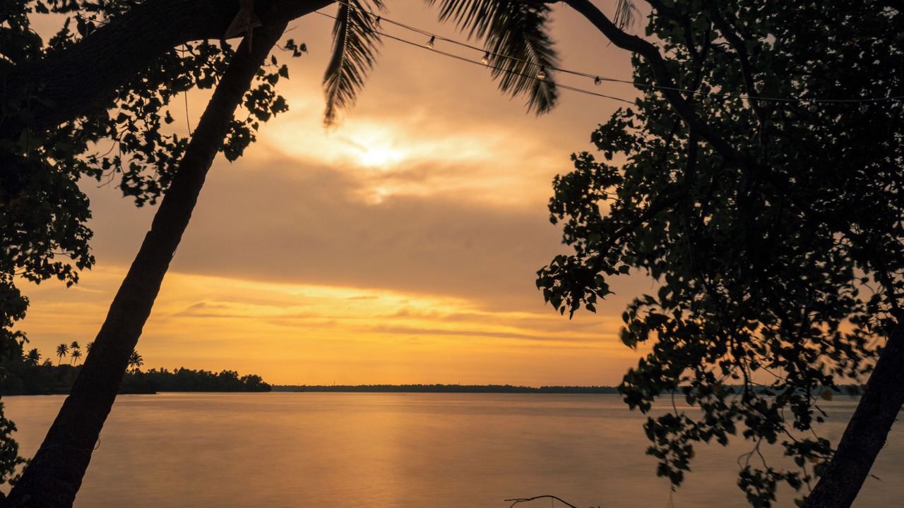 Photo of Others in Munroe Island
