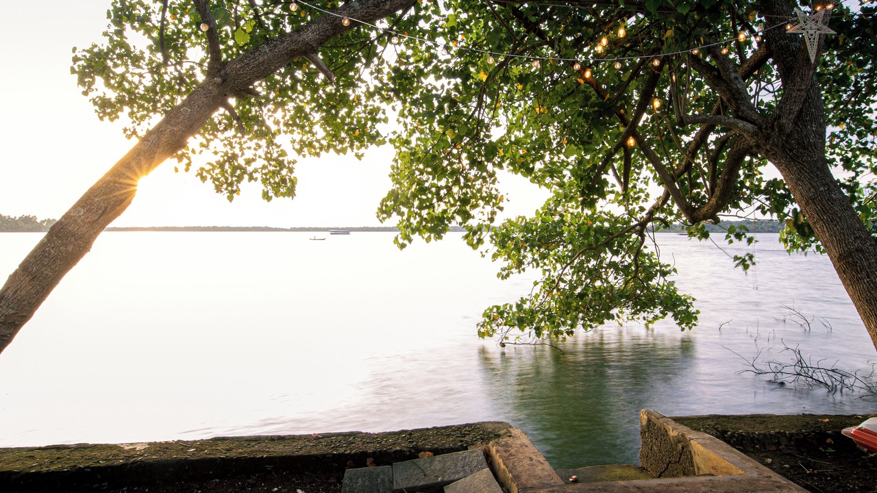 Photo of Others in Munroe Island