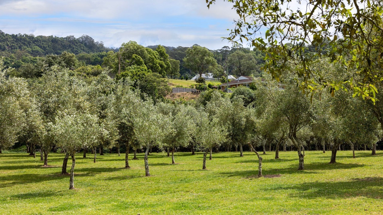 Photo of Others in Meroo Meadow