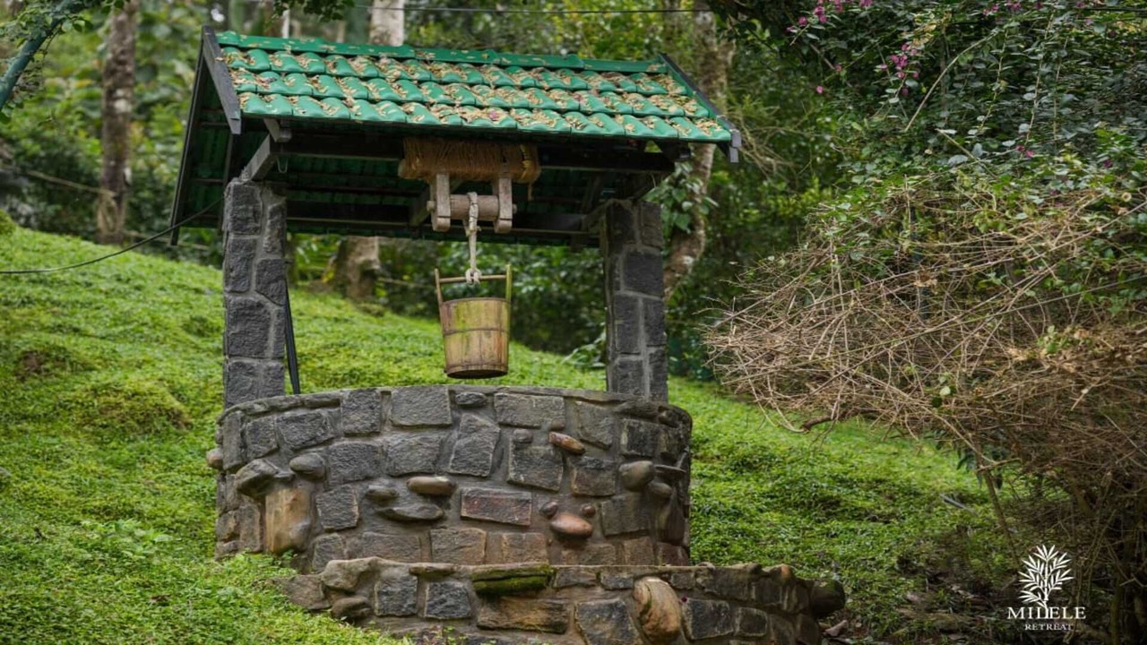 Photo of Outdoor in Udumbanchola