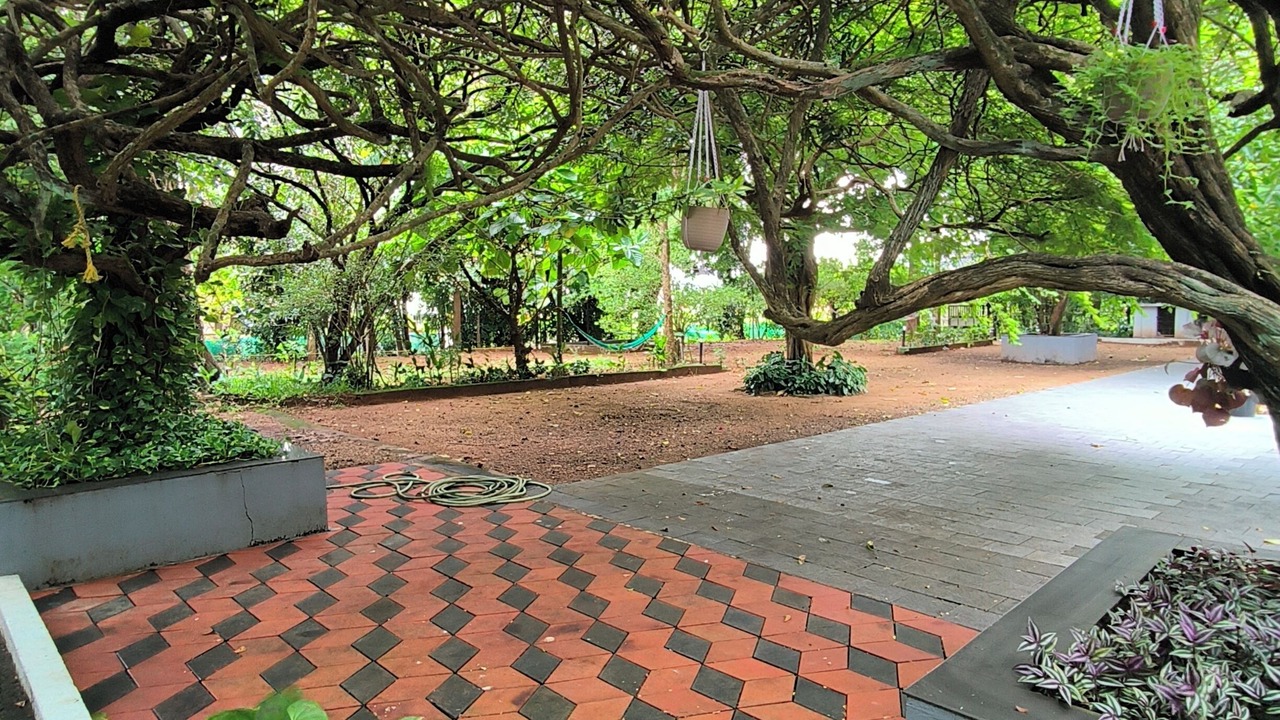 Photo of Outdoor in Kochi