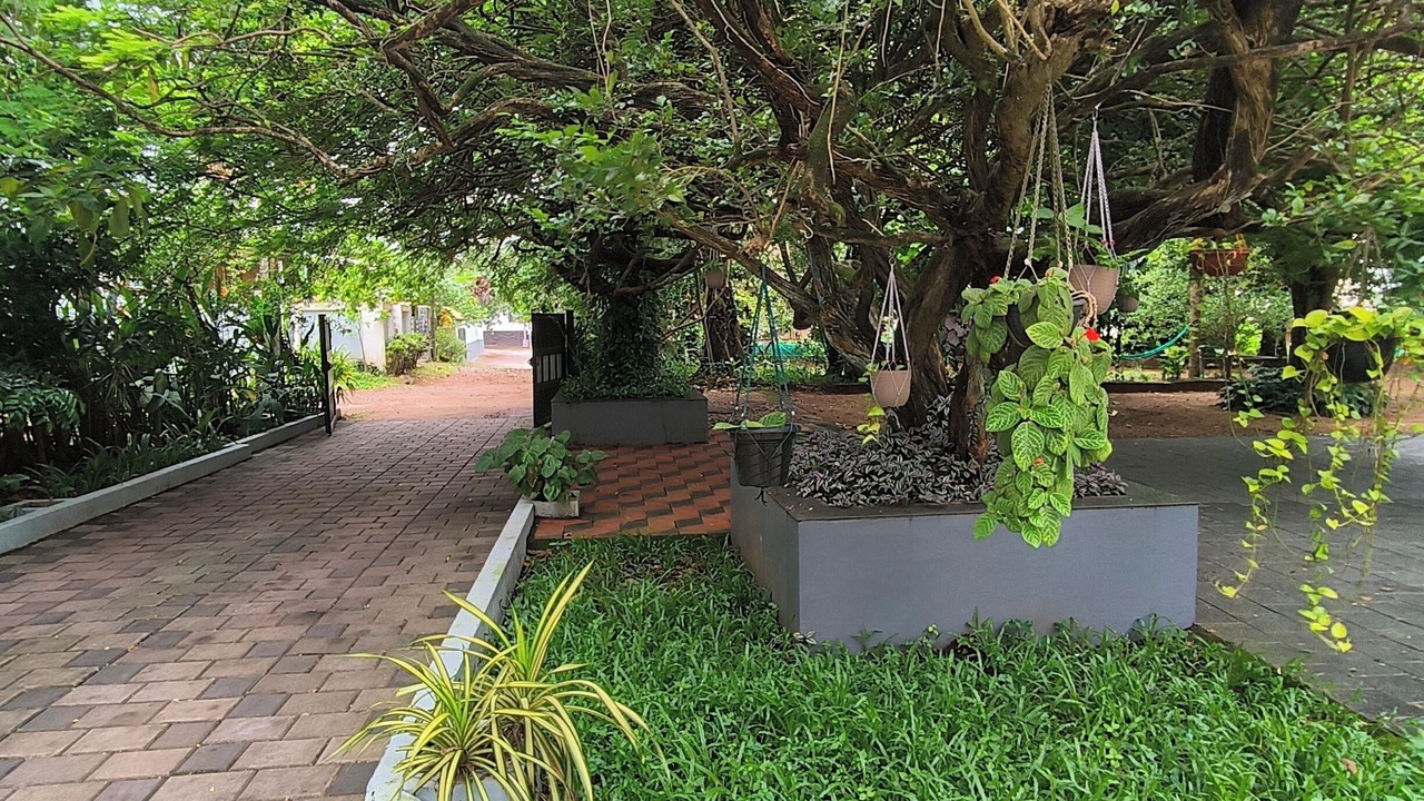 Photo of Outdoor in Kochi