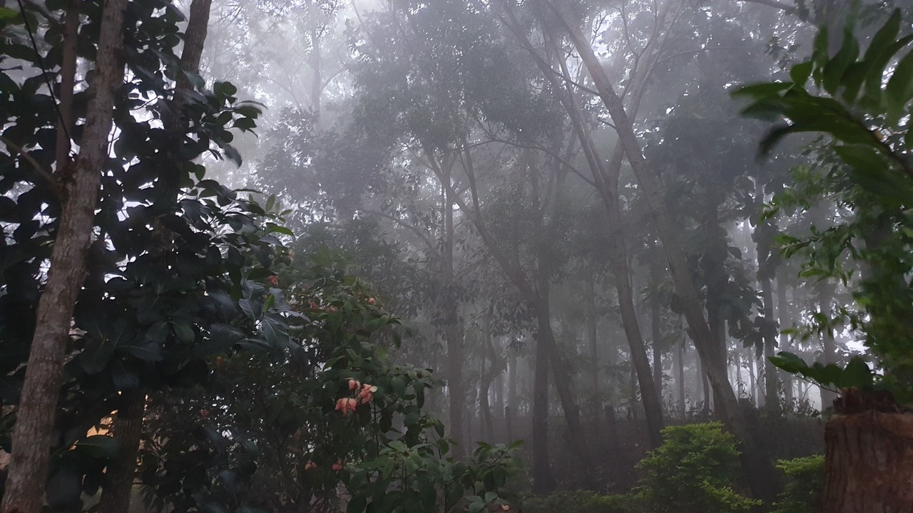 Photo of Outdoor in Yelagiri