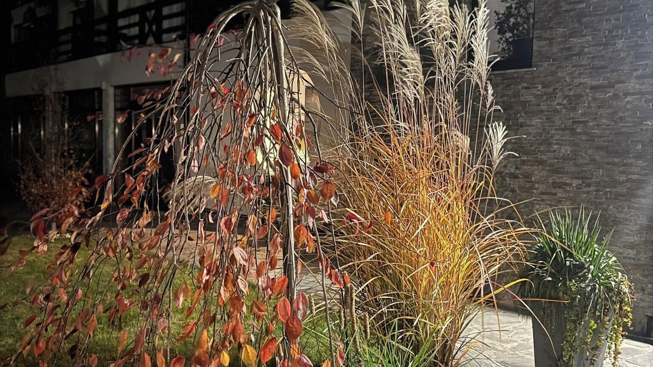 Photo of Outdoor in Gura Humorului