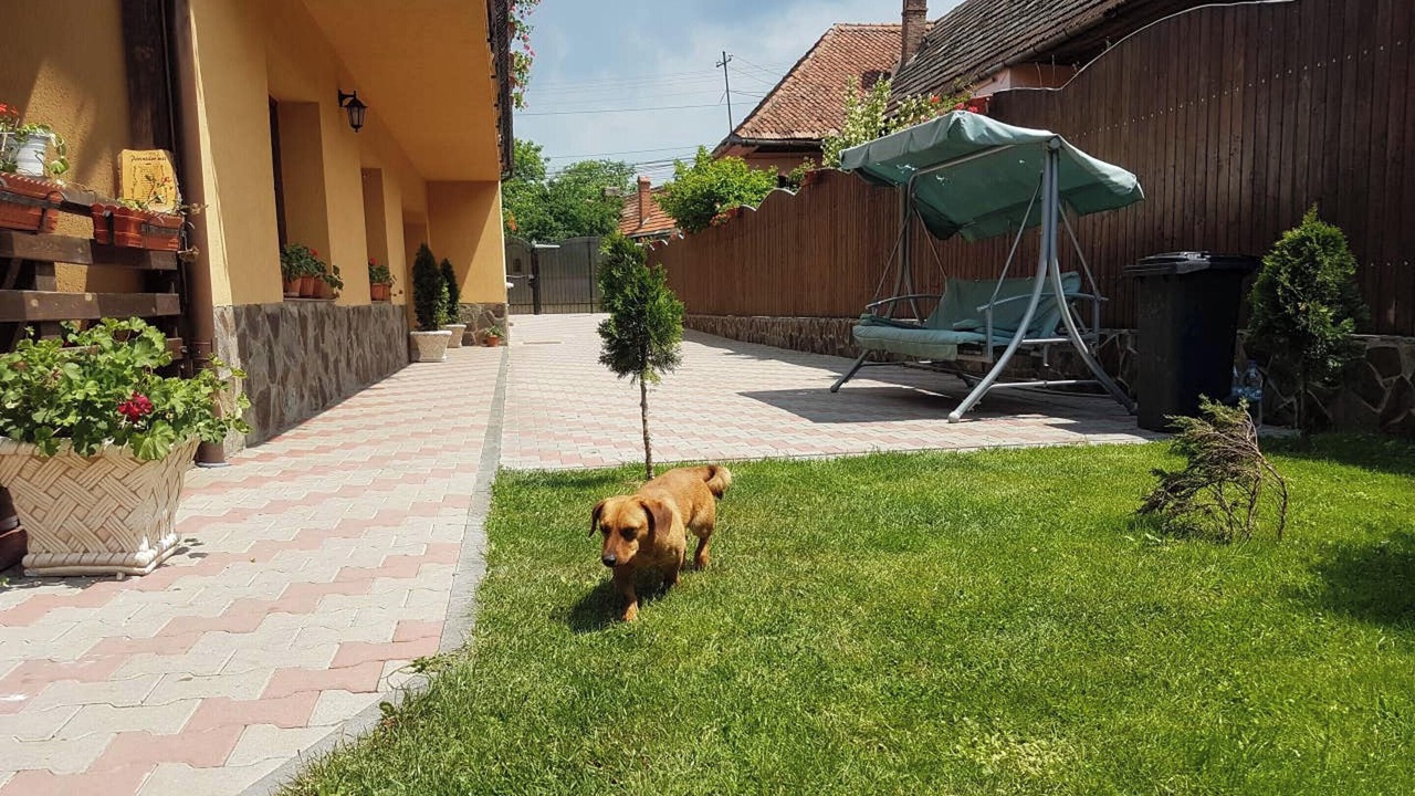 Photo of Outdoor in Brasov