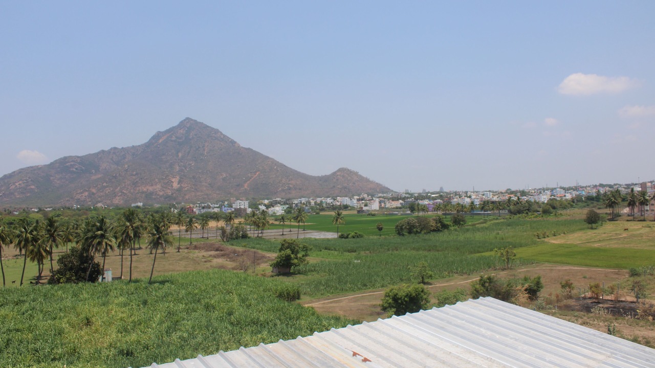 Photo of Others in Tiruvannamalai