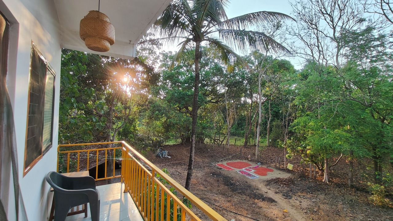 Photo of Outdoor in Arambol