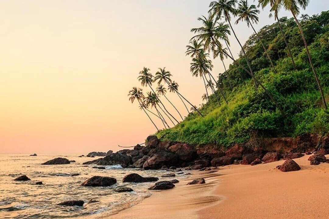Photo of Others in Candolim