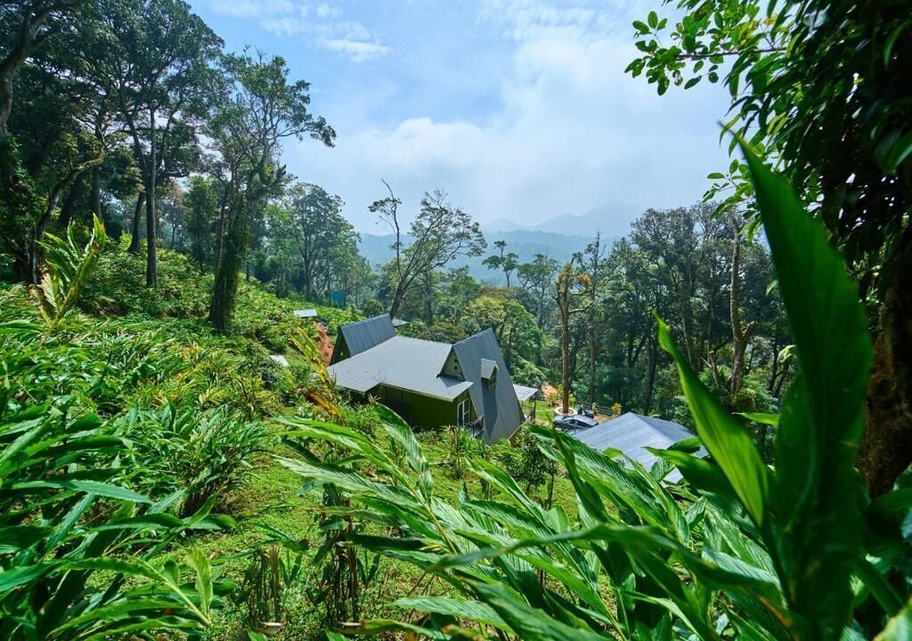 Photo of Outdoor in Udumbanchola