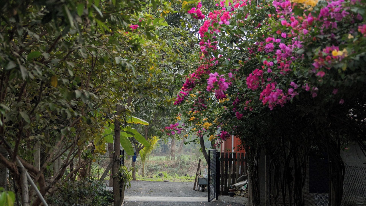 Photo of Outdoor in Panvel