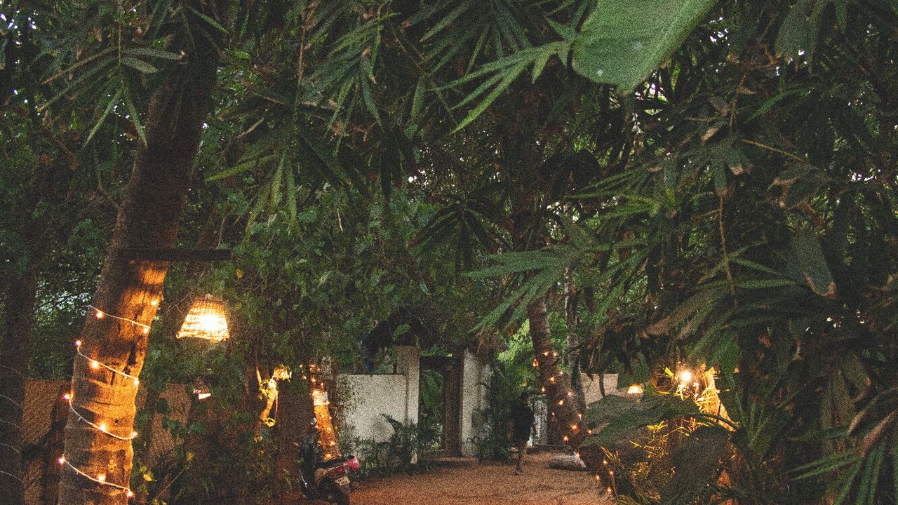Photo of Outdoor in Mandrem