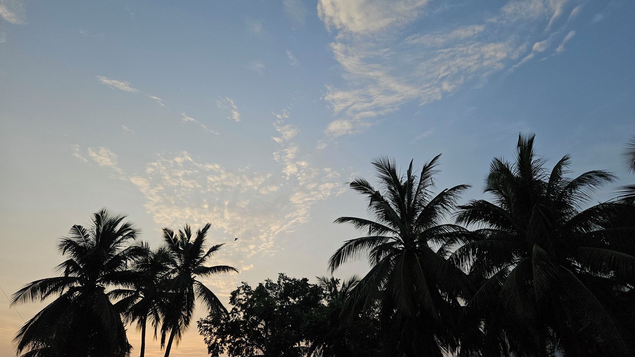 Photo of Outdoor in Madhurawada