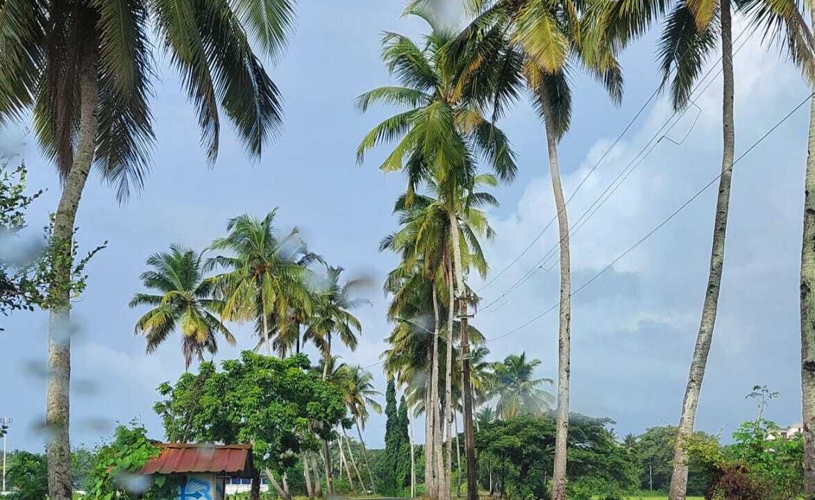 Photo of Others in Benaulim