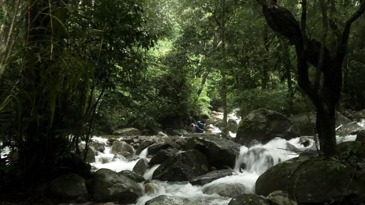 Photo of Outdoor in Kottappadi part