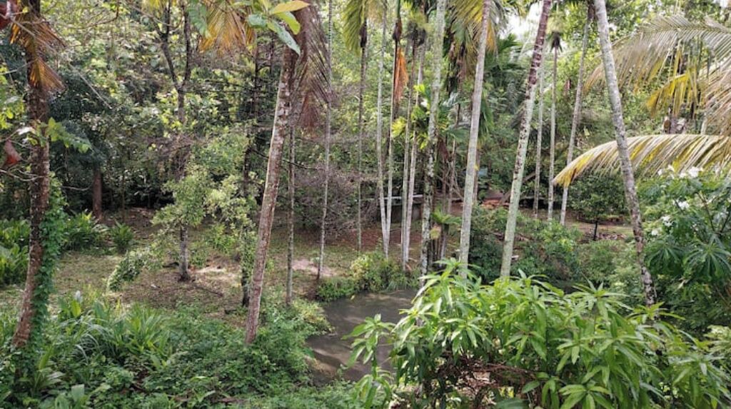 Photo of Outdoor in Aryad South