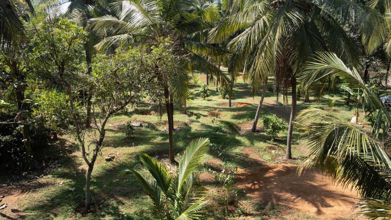 Photo of Outdoor in Inna