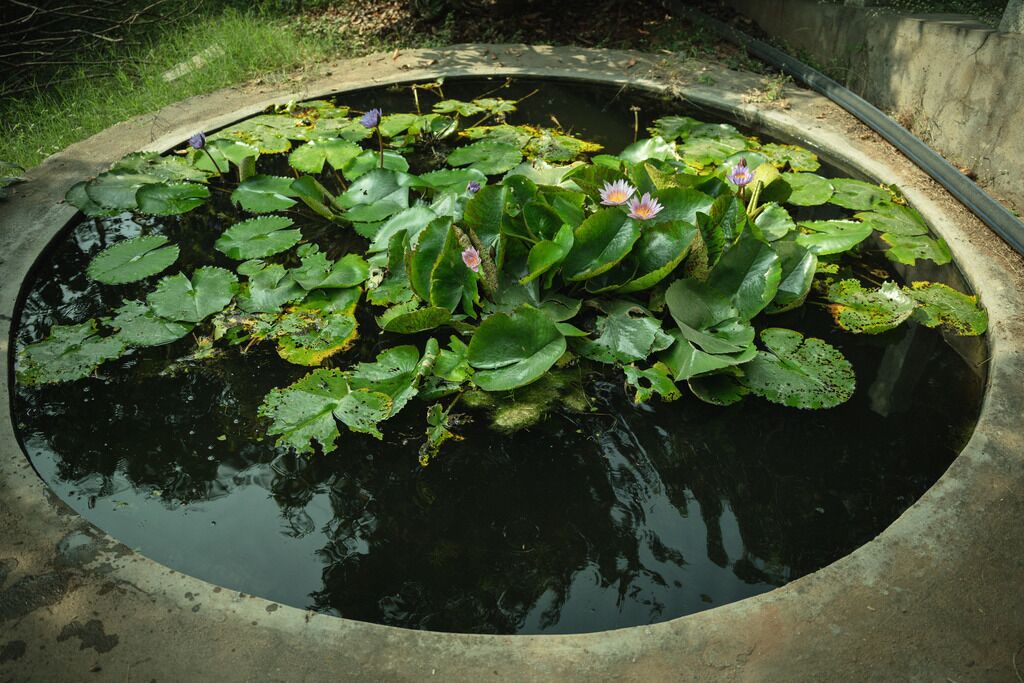 Photo of Outdoor in Manchanabele