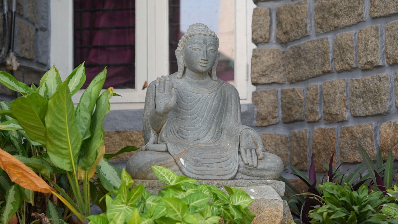 Photo of Outdoor in Manchanabele