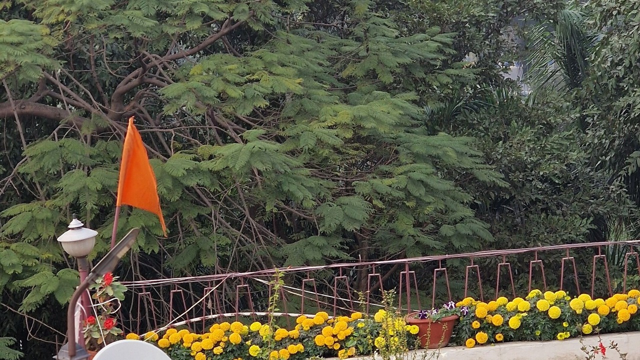 Photo of Outdoor in Raja Bazar