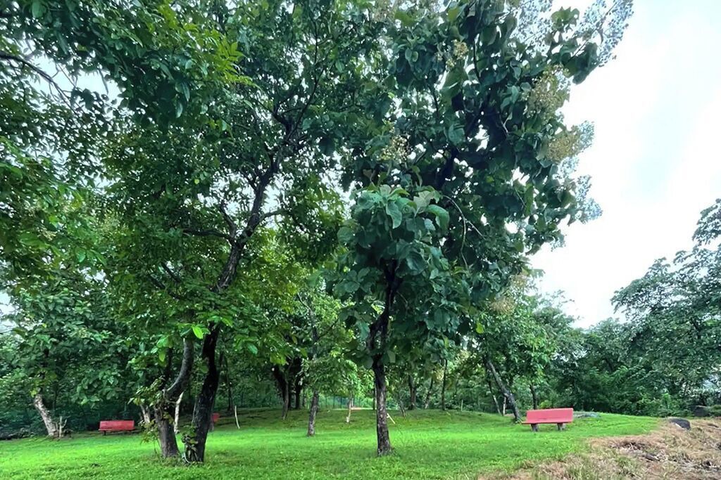 Photo of Outdoor in Murud-Harnai