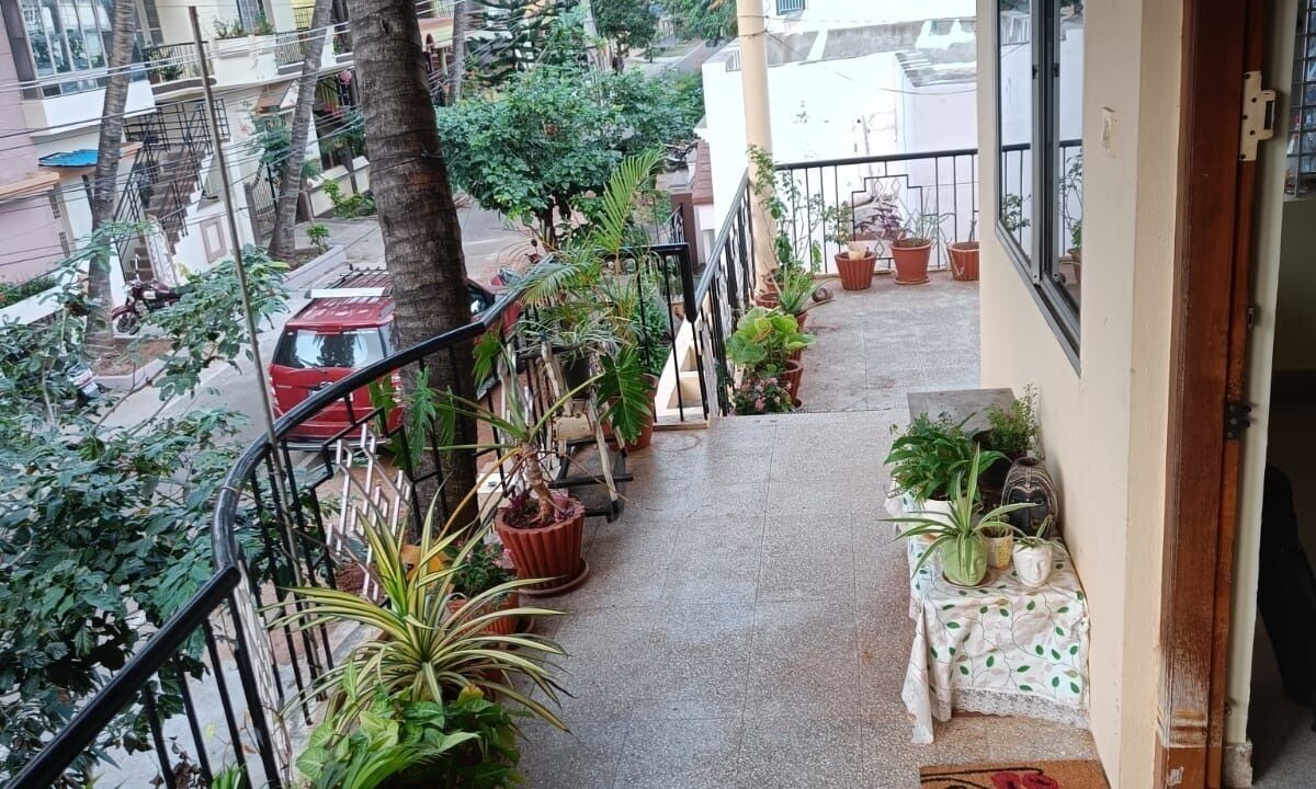 Photo of Outdoor in Mysore