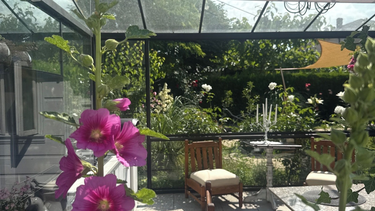 Photo of Patio Balcony in Eforie Nord