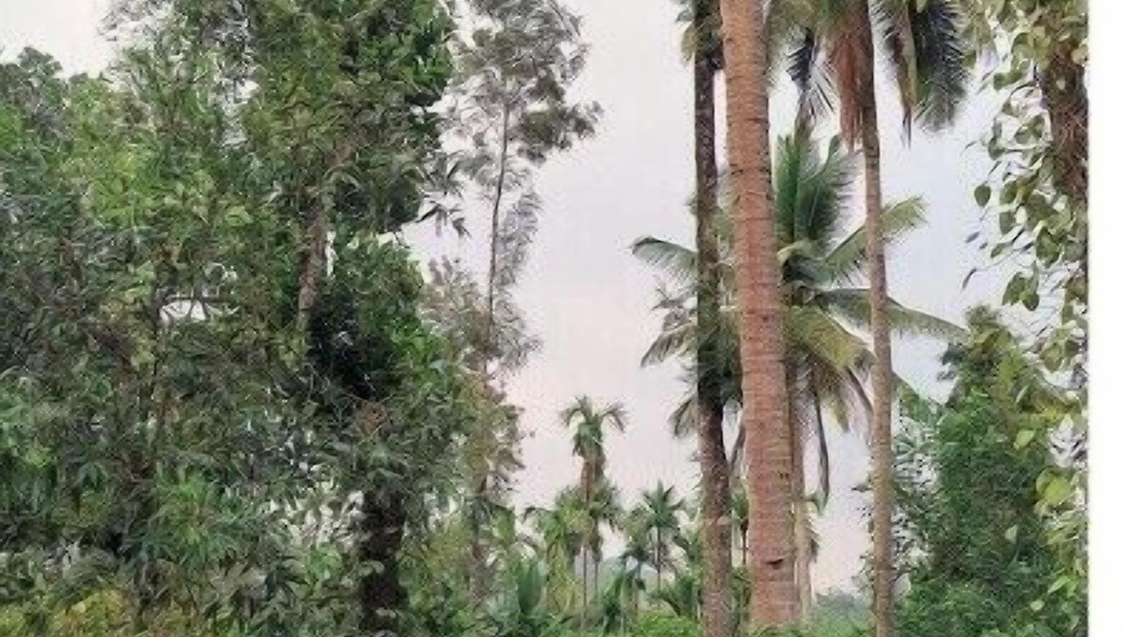 Photo of Others in Sangameswarpet