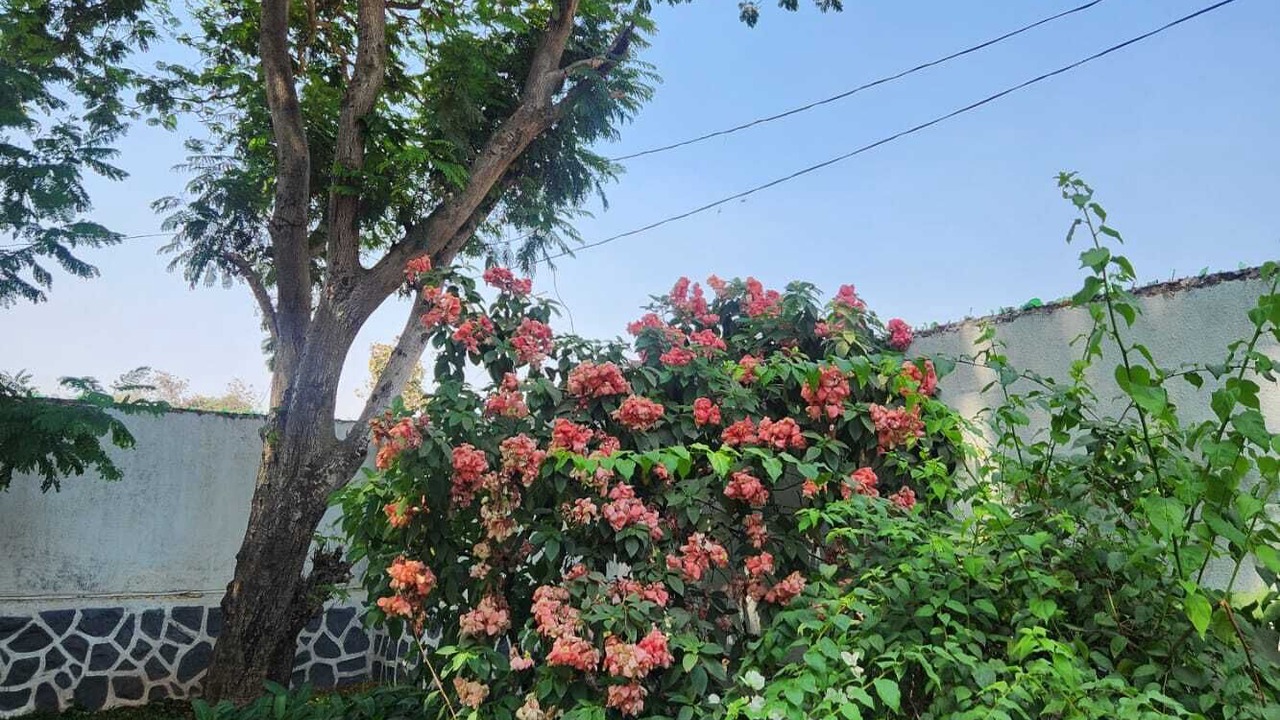 Photo of Outdoor in Karjat