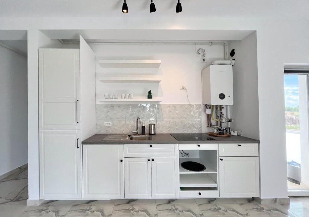 Photo of Kitchen in Dumbravita