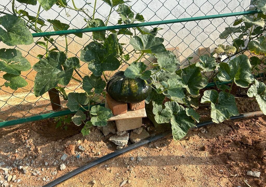 Photo of Outdoor in Anekal