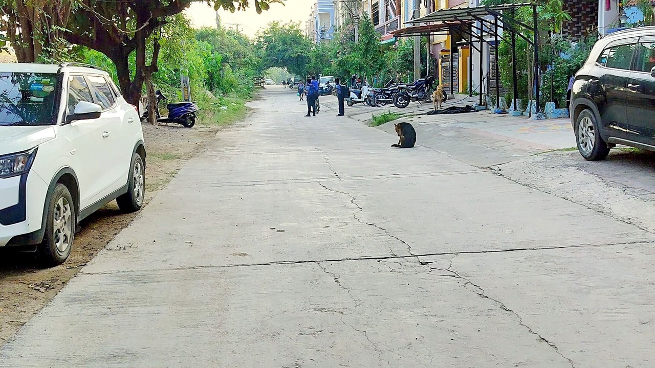 Photo of Others in Hyderabad