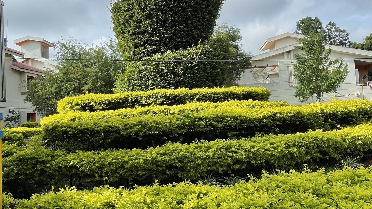 Photo of Outdoor in Attibele