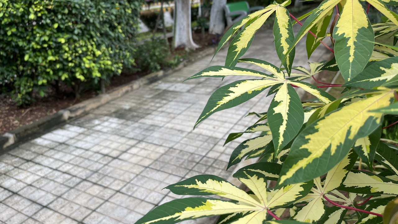 Photo of Outdoor in Attibele