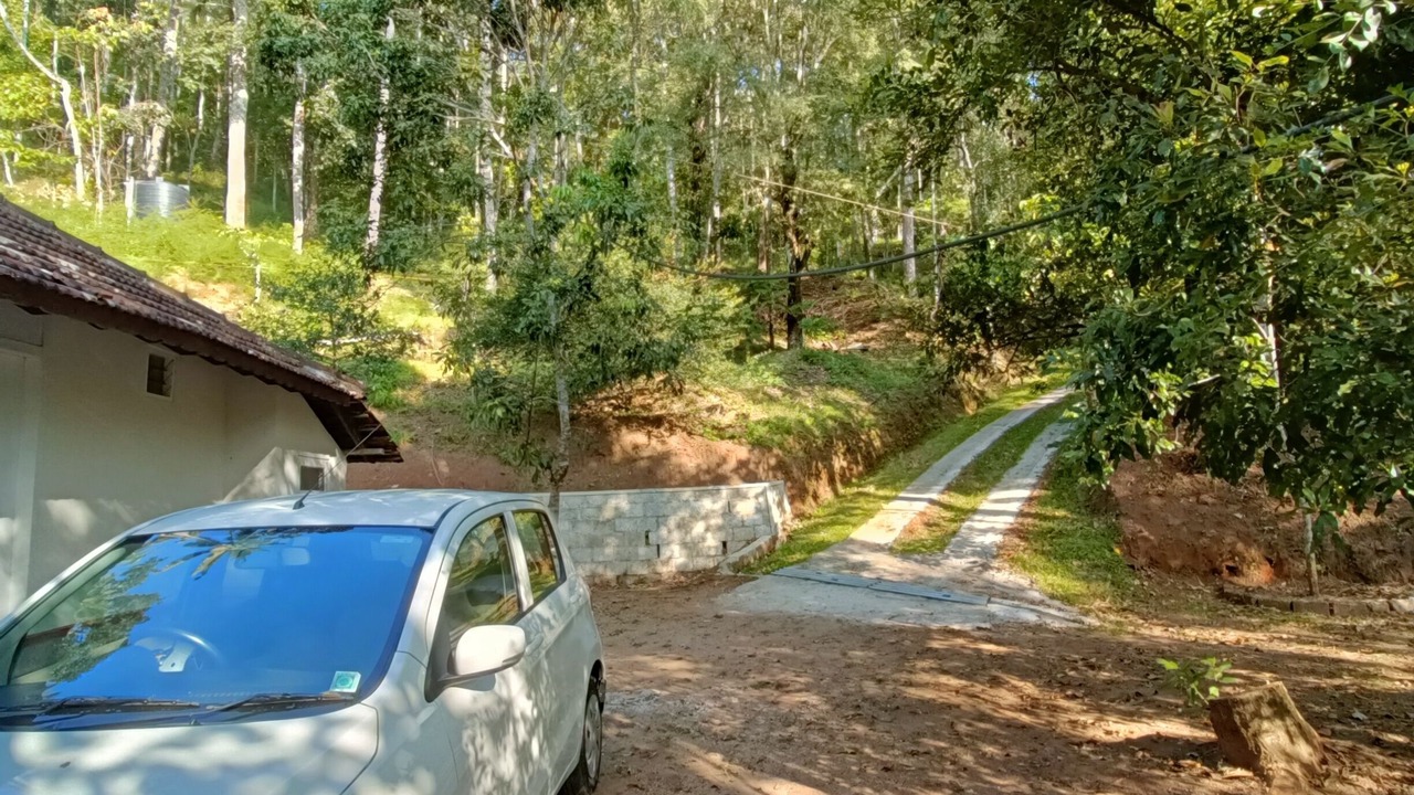 Photo of Outdoor in Udumbanchola
