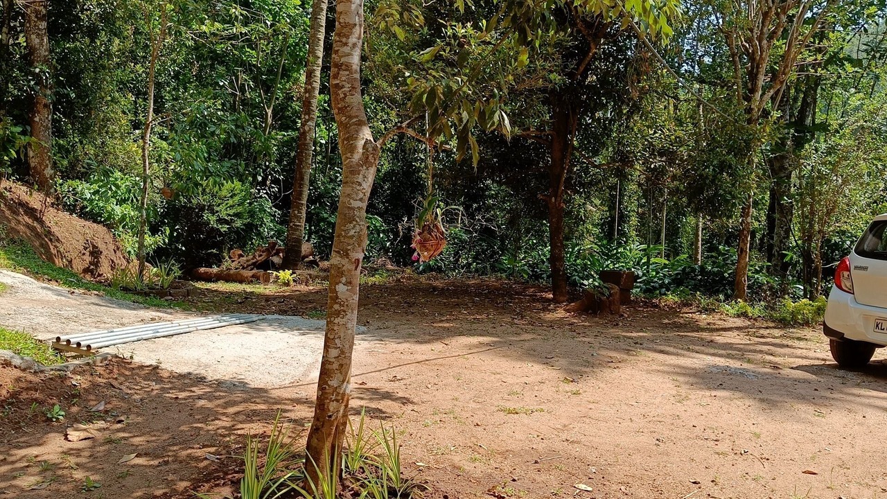 Photo of Outdoor in Udumbanchola