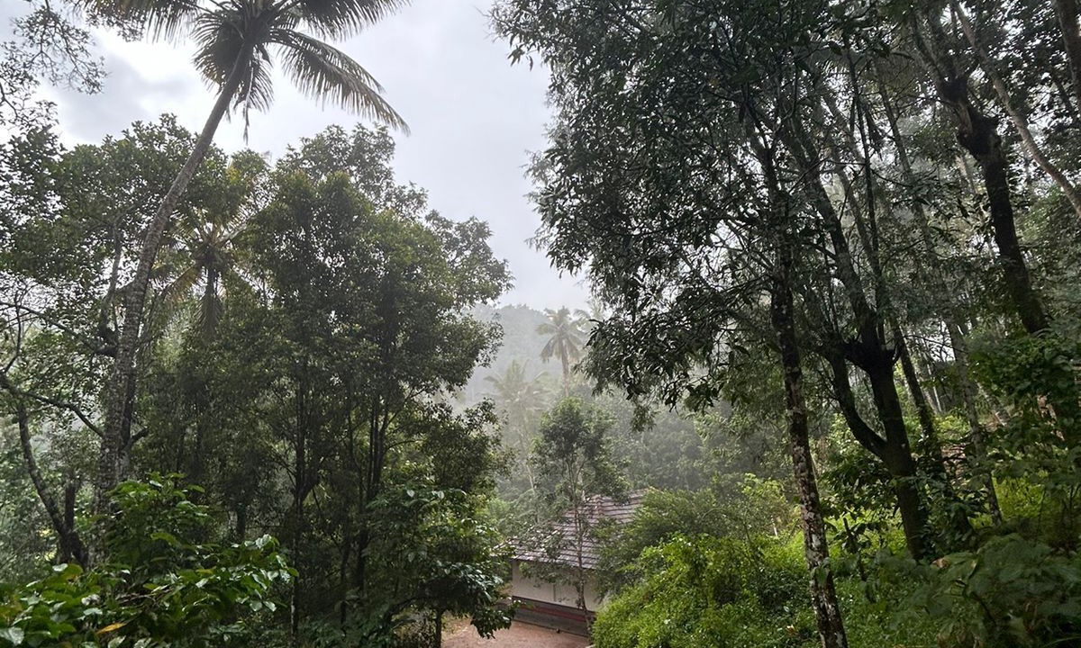 Photo of Outdoor in Udumbanchola